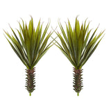 Spiky Agave Succulent Plant (Set of 2) by Nearly Natural