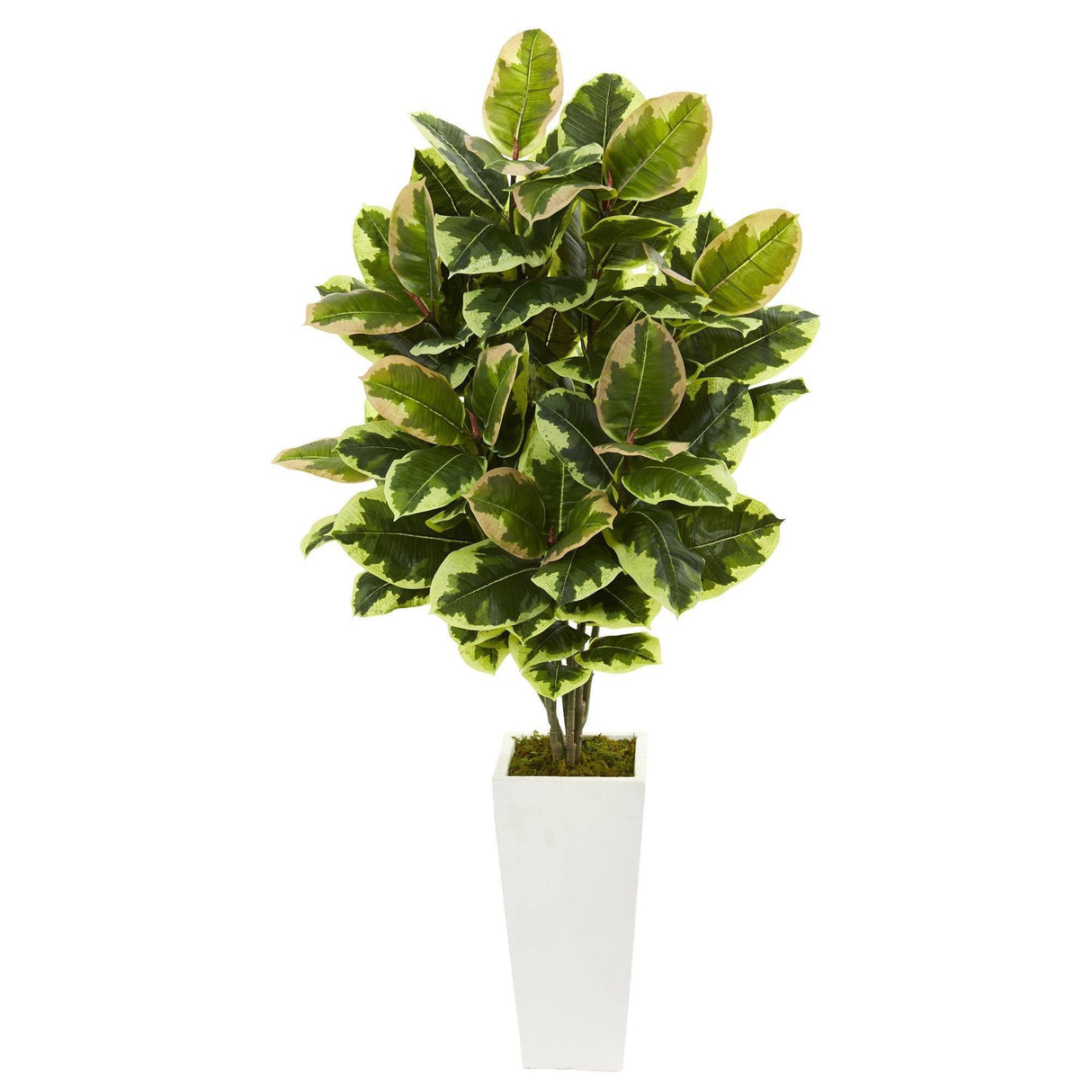 Variegated Rubber Leaf Artificial Plant in White Tower Vase by Nearly Natural