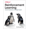 Reinforcement Learning: Industrial Applications of Intelligent Agents