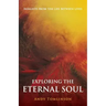 Exploring the Eternal Soul - Insights from the Life Between Lives