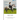 Ride Free: From Fear to Fun: Release Your Fears, Reconnect to Your Horse, and Ride with Confidence