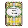 The Stained (glass) Book of Trump: A Politically Incorrect Grownup Coloring Book