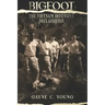 Bigfoot: The Vietnam Defensive Declassified