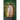 The Seeing Garden