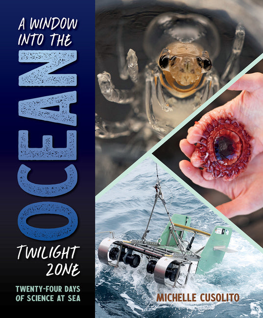 A Window Into the Ocean Twilight Zone: Twenty-Four Days of Science at Sea - Hardcover by Books by splitShops