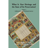 What is Your Heritage and the State of its Preservation?: Volume 2, Collaborations with Storyboard America