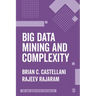 Big Data Mining and Complexity