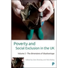 Poverty and Social Exclusion in the UK: Volume 2 - The Dimensions of Disadvantage