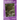 The Most Dangerous Game (adapted): Great Stories: Intermediate