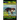 American Water Spaniel, American Water Spaniel Training AAA AKC: Think Like a Dog, but Don't Eat Your Poop! American Water Spaniel Breed Expert Traini