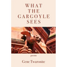 What the Gargoyle Sees