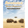 Adorable Baby Animals Grayscale Coloring Book: 32 Sweet Pictures to Color Featuring Baby Camels, Pigs, Ducks, and Much More