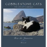 Cobblestone Cats - Rio de Janeiro: The Cats of Flamengo