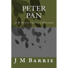 Peter Pan: (J M Barrie Classics Collection)