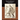 Darwiniana Essays and Reviews Pertaining to Darwinism