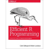 Efficient R Programming: A Practical Guide to Smarter Programming