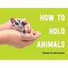 How to Hold Animals