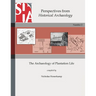 The Archaeology of Plantation Life: Perspectives from Historical Archaeology