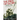The Price of Glory: Verdun 1916; Revised Edition