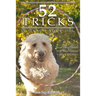 52 Tricks To Teach Your Dog