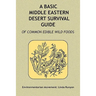 A Basic Middle Eastern Desert Survival Guide