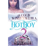 A Cold Winter With A Hot Boy 2