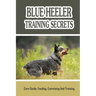 Blue Heeler Training Secrets: Care Guide, Feeding, Exercising And Training: Blue Heeler Breed Information