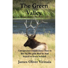The Green Valley: Unexpected events force Dan to live by the gun