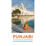 Punjabi Dictionary & Phrasebook