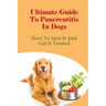 Ultimate Guide To Pancreatitis In Dogs: How To Spot It And Get It Treated: Pancreatitis Diet Recipes