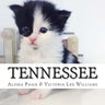 Tennessee: This is the true life story of a cat who survived against all odds to become an amazing therapy cat for Veterans and children.