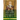 On the Holy Spirit: The History and Mysterious Origins of the Holy Trinity of Jesus Christ, the Lord God, and the Holy Spirit