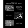 The Kung Fu of Grandmaster Chian Ho Yin