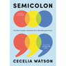 Semicolon: The Past, Present, and Future of a Misunderstood Mark