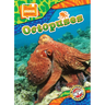 Octopuses