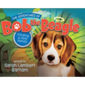 The Adventures of Bob the Beagle: Finding A New Family