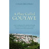 A Place Called Gouyave: A Boy's Recollection of the Colorful and Loveable Characters of His Hometown, Where People's Mistakes Were Not Life's