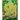 Kids Mazes: Fun Kids Mazes Ages 4-8