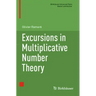 Excursions in Multiplicative Number Theory