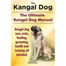Kangal Dog. the Ultimate Kangal Dog Manual. Kangal Dog Care, Costs, Feeding, Grooming, Health and Training All Included.