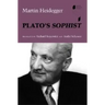 Plato's Sophist