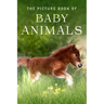 The Picture Book of Baby Animals: A Gift Book for Alzheimer's Patients and Seniors with Dementia