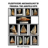 Pleistocene Archaeology in Virginia: The Arkfeld Site