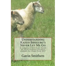 Understanding Kazuo Ishiguro's Never Let Me Go: A complete GSCE Study Guide for GCSE English Literature students for exams from 2017