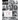 The Photographed Cat: Picturing Close Human-Feline Ties 1900-1940