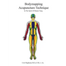 Bodymapping Acupuncture Technique: In the Spirit of Master Tung