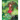 The Secret World of Arrietty Picture Book