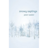 Snowy Saplings