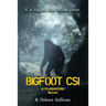 Bigfoot CSI: A Flashfire Novel