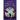 Under the Purple Sky: The Oracles of Zion